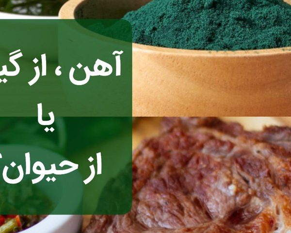 آهن هِم و غیرهِم چیست؟ منابع آهن و راه‌های افزایش جذب آهن